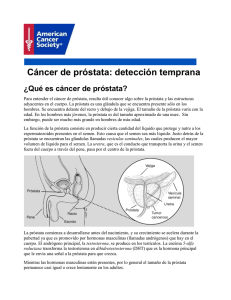 Cáncer de próstata - Instituto Nacional de Enfermedades Neoplásicas
