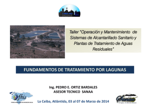 2a Introduccion lagunas PO 2014 - 1793-HO