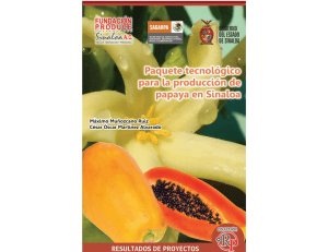 Paquete tecnologico para la produccion de papaya en Sinaloa