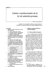 Límites constitucionales de la ley de amnistía