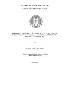 desarrollo de bacterias comensales recombinantes para inducir