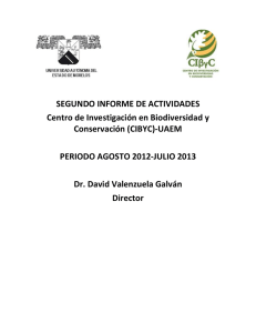 informe de actividades 2012-2013
