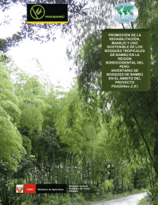 Inventario de bosques de bambú en el ámbito del proyecto