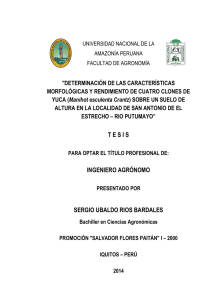 TESIS COMPLETA - Universidad Nacional de la Amazonía
