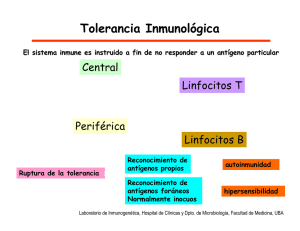 Tolerancia central en linfocitos T