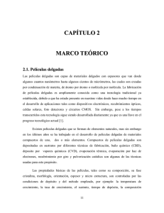 marco teórico - tesis.uson.mx