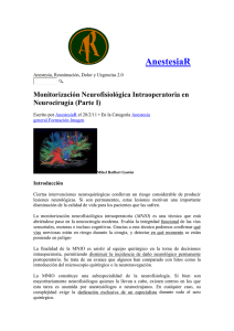 Monit Neurofisiologica en Neuro