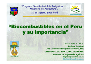 Biocombustibles en el Peru y su importancia
