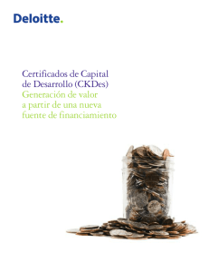 Certificados de Capital de Desarrollo (CKDes) Generación
