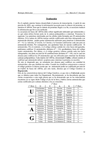 Traducción - bioquimica