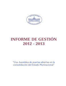 informe de gestión 2012 - 2013