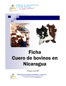 Ficha Cuero de bovinos en Nicaragua