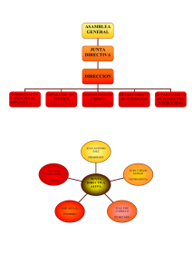 ASAMBLEA GENERAL JUNTA DIRECTIVA DIRECCION