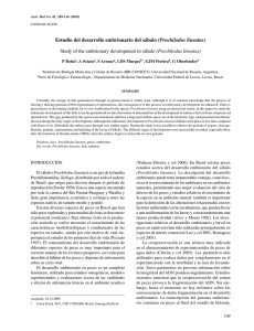 Estudio del desarrollo embrionario del sábalo (Prochilodus lineatus)