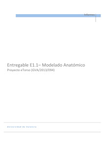 Entregable E1.1– Modelado Anatómico