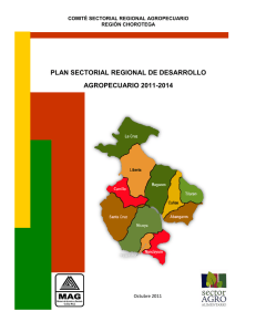 plan regional de desarrollo agropecuario 2011-2014