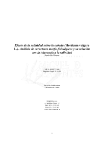 pdf Efecto de la salinidad sobre la cebada (Hordeum vulgare L.)