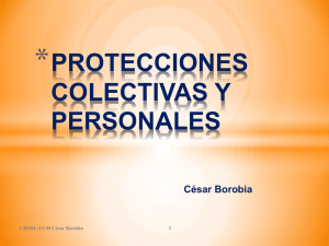 PROTECCIONES COLECTIVAS Y PERSONALES