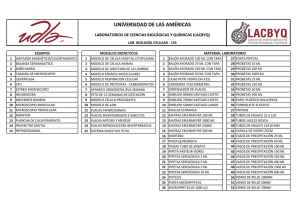 131 - Universidad de Las Américas