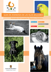Fichas Castellano.ai - Colegio Oficial de veterinarios de las Islas