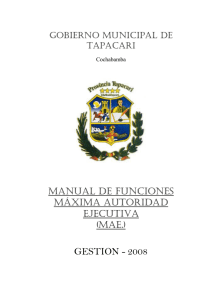Manual de Funciones MAE - Gobierno Autonomo Municipal de