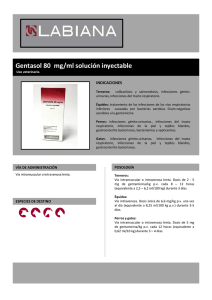 Ficha Gentasol 80 mg SP