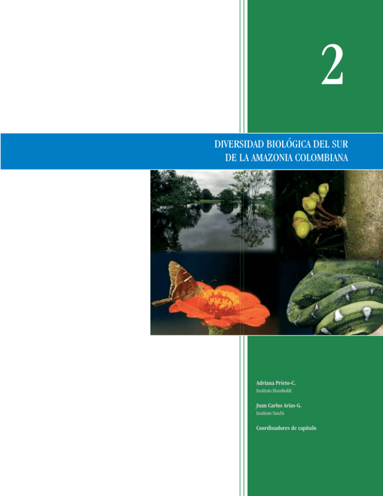 diversidad biológica del sur de la amazonia