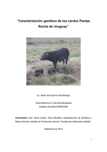 &ldquo;Caracterizaci&oacute;n gen&eacute;tica de los cerdos Pampa Rocha de Uruguay&rdquo;