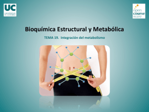 TEMA 19. Integración del metabolismo