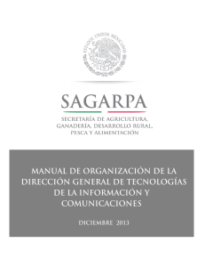 Manual de Organización de la Dirección General de