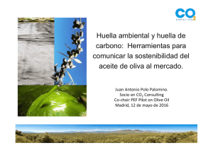 CO2 Consulting (D. Juan Antonio Polo)