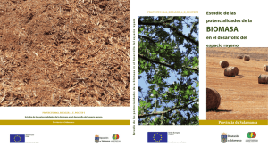 Estudio de las potencialidades de la Biomasa en el