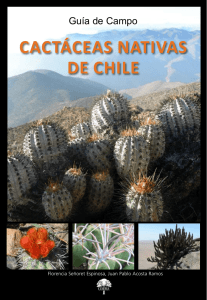 cactáceas nativas de chile