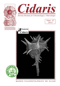 Revista Cidaris: Paleontolog&iacute;a y Mineralog&iacute;a de Elche