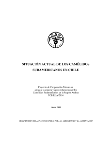 situación actual de los camélidos sudamericanos en chile