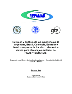 Revisión y análisis de las experiencias de Argentina - Web