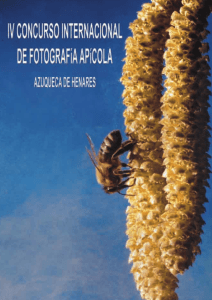 IV Concurso internacional de fotografía apícola, 2004