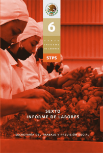 Informe de Labores 2012 - Secretaría del Trabajo y Previsión Social