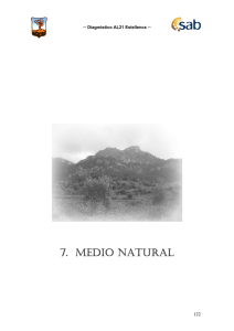 7. medio natural - Ajuntament d`Estellencs