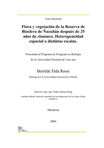 Tesis Bertilde Rossi - Observatorio Nacional de la Degradación