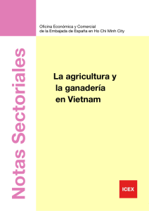 Agricultura y ganadería en Vietnam