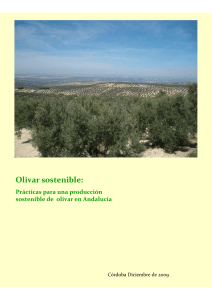 Olivar sostenible - Instituto de Agricultura Sostenible
