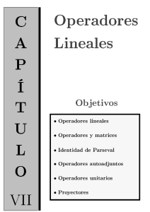Algebra VII - Operadores Lineales