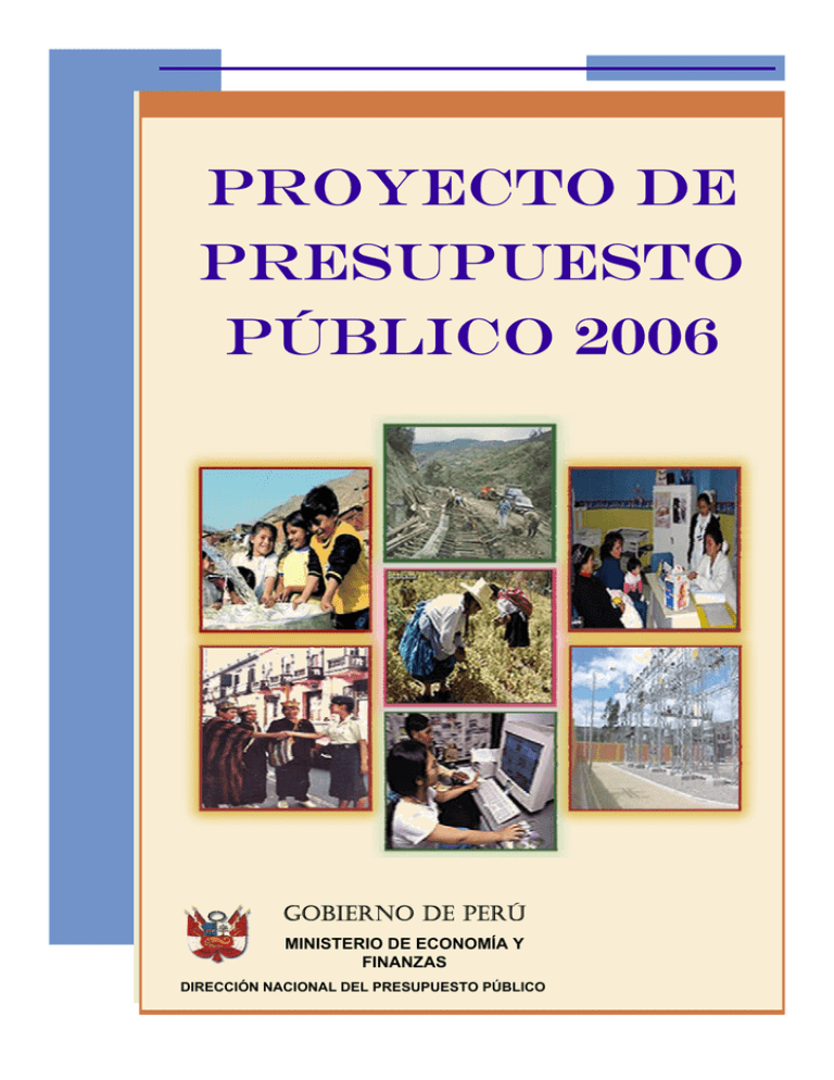 Proyecto De Presupuesto Público 2006