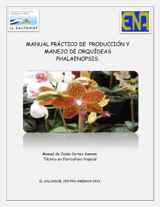 producción y manejo de orquídeas phalaenopsis