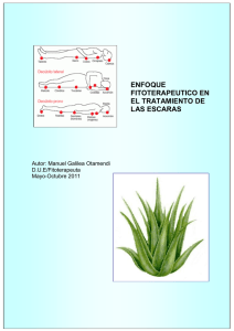 enfoque fitoterapeutico en el tratamiento de las escaras