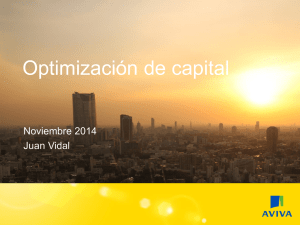 Optimización de capital