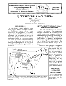 digestion en la vaca lechera