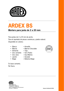 ARDEX BS Mortero para junta de 2 a 20 mm