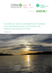 El análisis de servicios ecosistémicos forestales como herramienta
